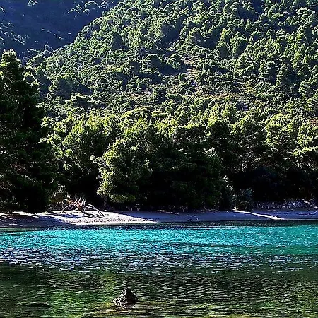 Dora Peljesac Croatia *
